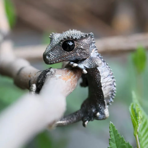 Wild Animal Ring. Crested Gecko Ring. Handmade Sterling Silver Ring. Lizard Ring