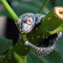 Load image into Gallery viewer, Wild Animal Ring. Smooth Knob-tailed Gecko Ring. Sterling Silver Ring.