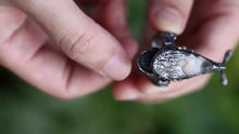 Load image into Gallery viewer, Mythical Fish Ring. Sterling Silver Ring. Handmade Jewelry. Gift For Him.